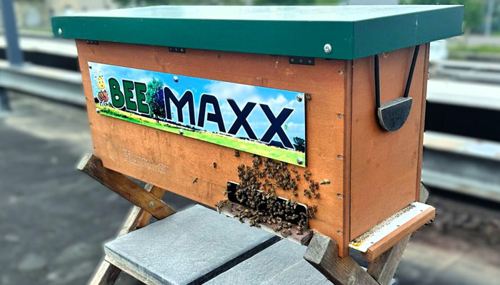 Unser MAXX Bienenvolk – Rückblick auf Ihr erstes Jahr
